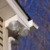 7 Best Outdoor Flood Lights to Light Up Your Property