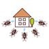 8 Best Cockroach Repellents