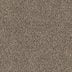 Everything You Need to Know About Triexta Carpet